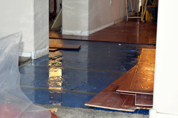 Professional Flood Damage Repair technician working in La Conner, WA